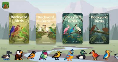 Backyard Birds