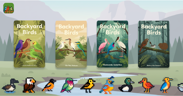 Backyard Birds