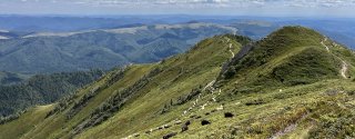 The Carpathian Mountains near Cheia, Romania