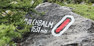 Chilchbalm marker