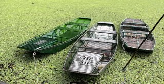 Boats in Tràng An, a UNESCO World Heritage Site