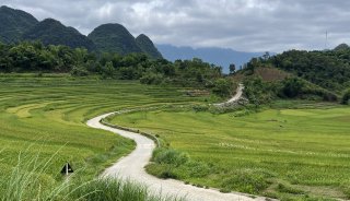 Rice terraces in Pù Luông, Vietnam
