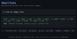 Screenshot of ShellTalk in the browser